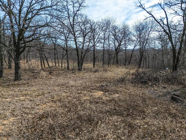 LOT59TBD Cimmarron Bay Dr, Runaway Bay, TX 76426