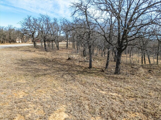 LOT59TBD Cimmarron Bay Dr, Runaway Bay, TX 76426