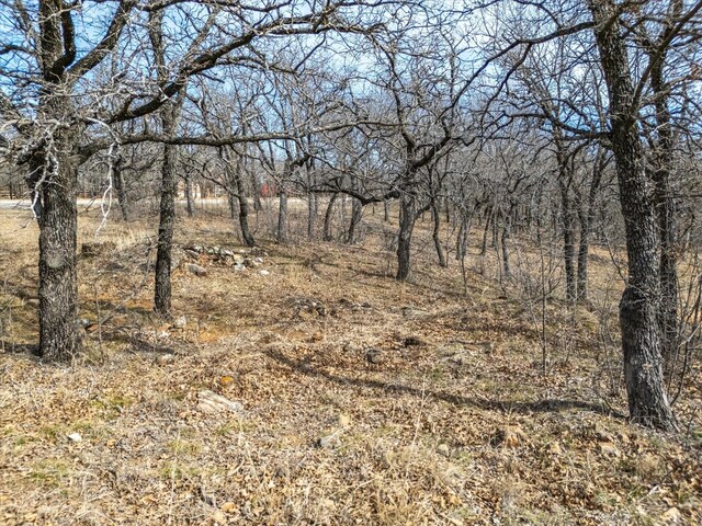 LOT59TBD Cimmarron Bay Dr, Runaway Bay, TX 76426