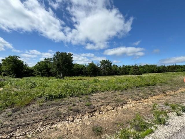 252 Cooper Ln, Van Alstyne, TX 75495