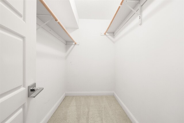 walk in closet with carpet flooring