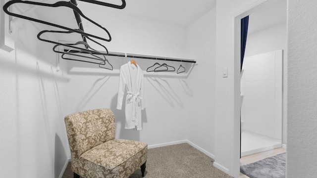 4109 Azam Ln, Fort Worth, TX 76036 - spacious closet featuring carpet flooring