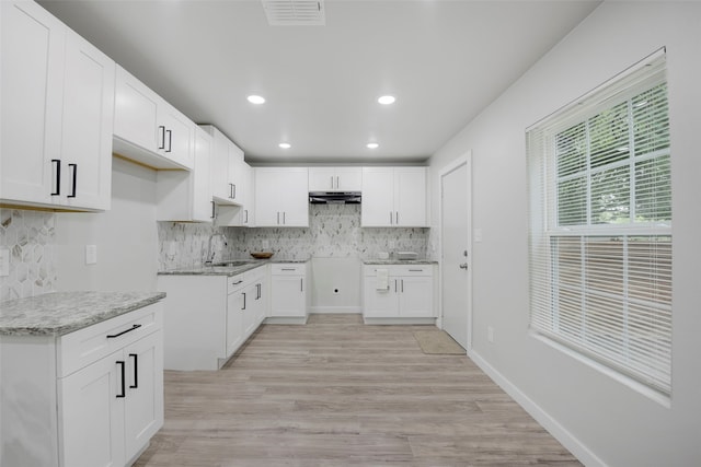 3030 Utah Ave, Dallas, TX 75216 - kitchen with a sink, tasteful backsplash, light wood-type flooring, light stone countertops, and recessed lighting