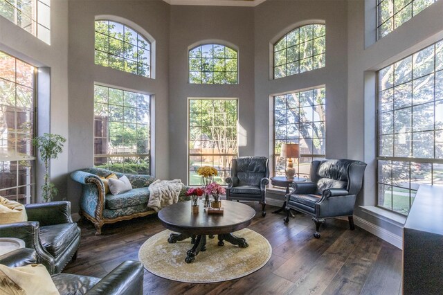 sitting room featuring plenty of natural light, dark wood finished floors, a towering ceiling, and baseboards