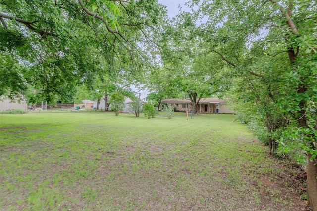 1809 Stevens St, Bridgeport, TX 76426 - view of green lawn