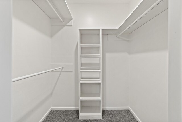 2909 Conejos Dr, Fort Worth, TX 76116 - walk in closet featuring carpet flooring