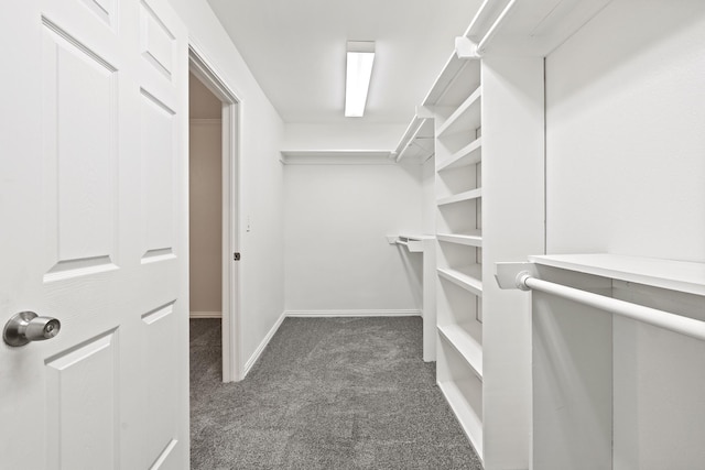 2909 Conejos Dr, Fort Worth, TX 76116 - spacious closet featuring carpet floors