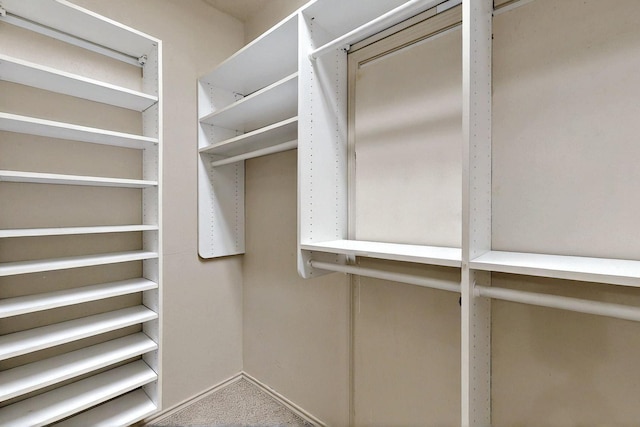 walk in closet featuring carpet floors