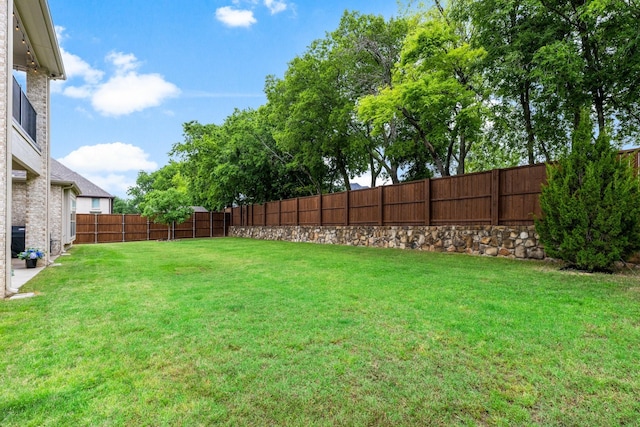 view of yard