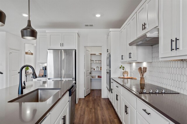 1420 Escondido Dr, Fort Worth, TX 76052 - kitchen with under cabinet range hood, appliances with stainless steel finishes, a sink, dark countertops, and tasteful backsplash