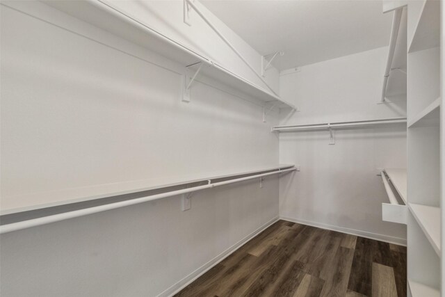 spacious closet featuring dark wood-style flooring