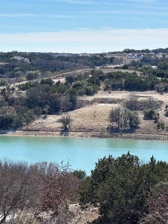 150 Blue Marlin Ct, Bluff Dale, TX 76433