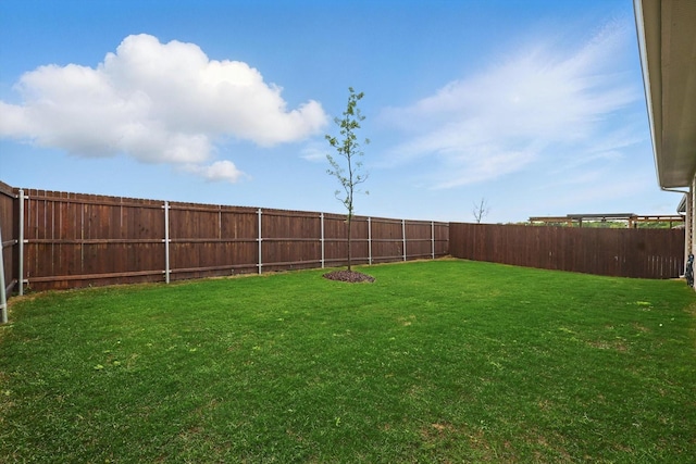 1223 Sequoia Ln, Princeton, TX 75407 - view of yard