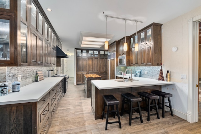 10080 Arvin Hill Rd, Aubrey, TX 76227 - kitchen with stainless steel appliances, a sink, under cabinet range hood, and tasteful backsplash