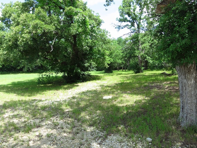 10080 Arvin Hill Rd, Aubrey, TX 76227 - view of green lawn