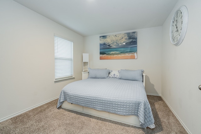 2308 Bellewood Ct, Crandall, TX 75114 - carpeted bedroom with baseboards
