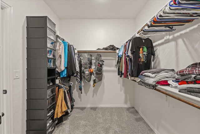 2643 Perdenales Dr, Royse City, TX 75189 - spacious closet with carpet floors