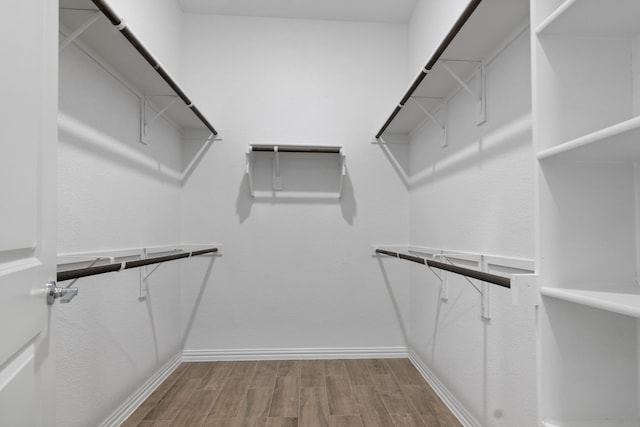walk in closet featuring wood finished floors