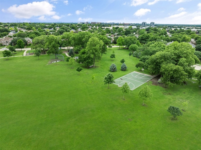 aerial view of a tree filled landscape
