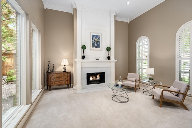 living area featuring carpet, ornamental molding, and a fireplace