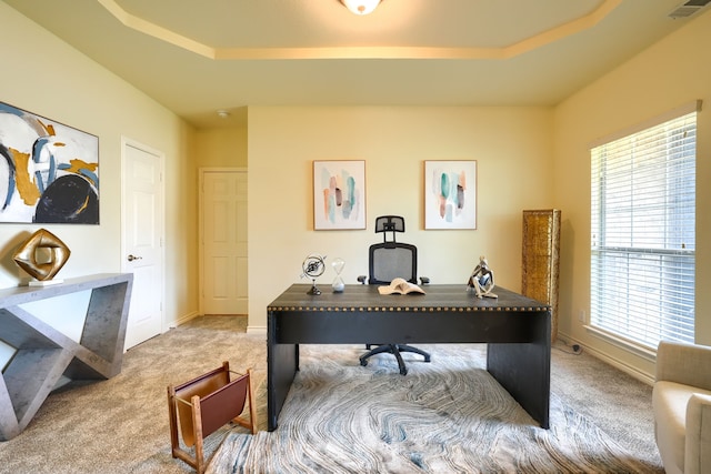 office with light carpet, a raised ceiling, and baseboards