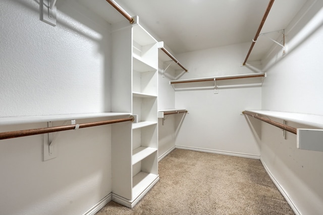 walk in closet with light colored carpet