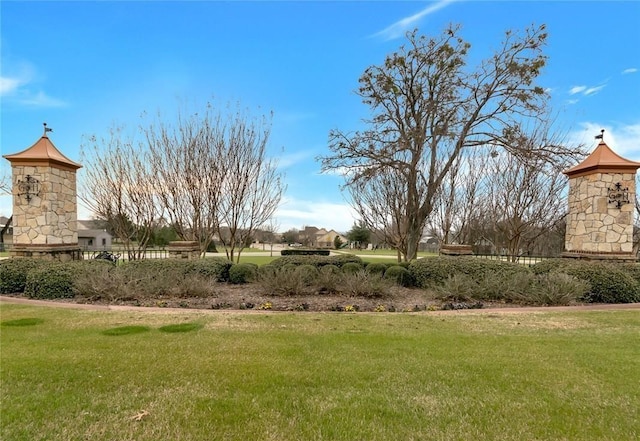 323 Emma Call Ct, Decatur, TX 76234 - view of green lawn