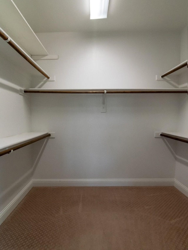 928 Freesia Dr, Little Elm, TX 75068 - walk in closet with carpet