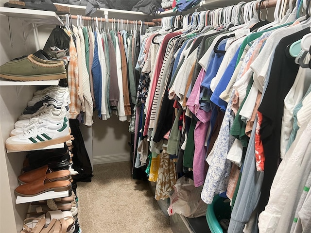 9812 Shadybrooke Dr, Shreveport, LA 71115 - walk in closet featuring carpet
