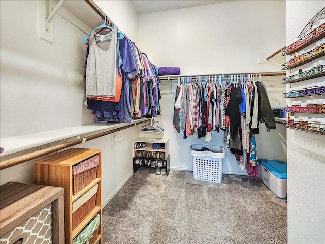 1152 Snowy Owl Dr, Alvarado, TX 76009 - walk in closet with carpet floors