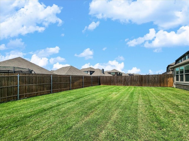 1152 Snowy Owl Dr, Alvarado, TX 76009 - view of yard