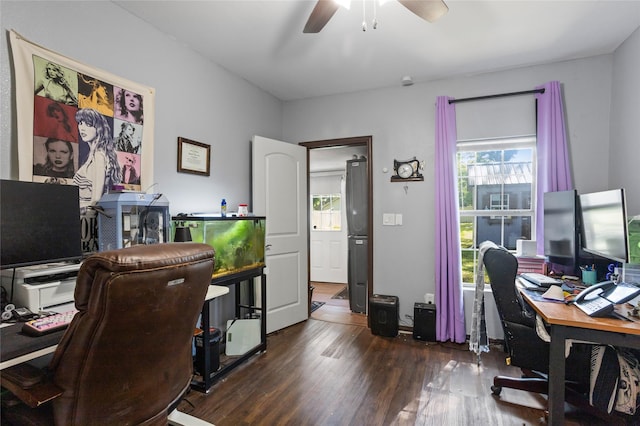 741 N Robinson St, Cleburne, TX 76031 - office space featuring wood finished floors and a ceiling fan