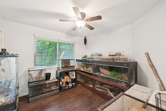 misc room featuring wood finished floors and ceiling fan