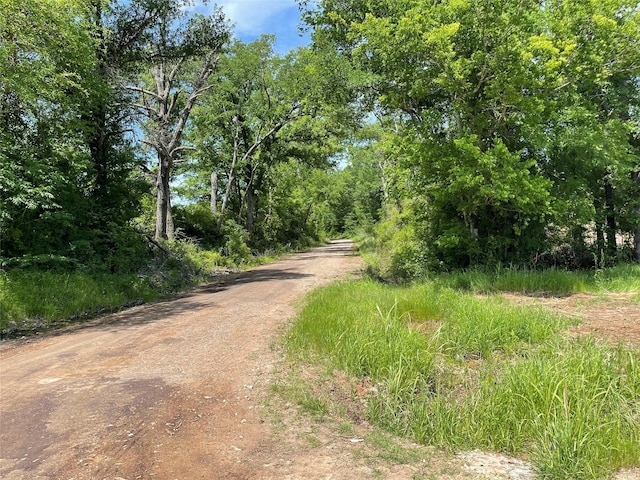 TRACT2 Fcr 296, Oakwood, TX 75855