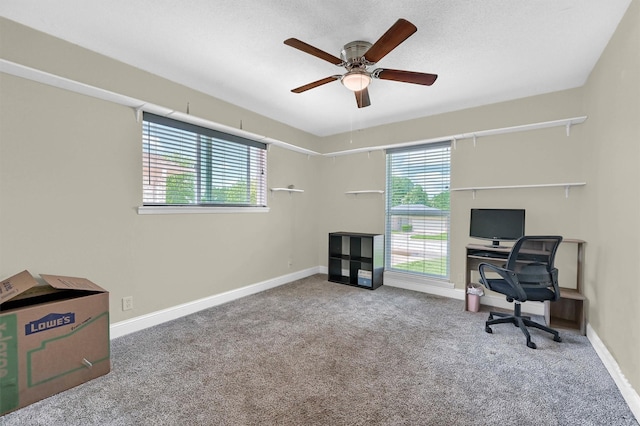 112 S Wood Ave, Denison, TX 75020 - office featuring healthy amount of natural light, carpet floors, a ceiling fan, and baseboards