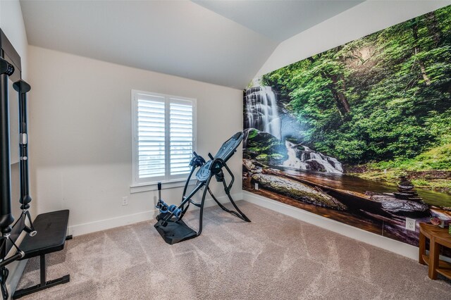 7412 Foxgrass Pl, Fort Worth, TX 76123 - exercise area featuring carpet flooring, vaulted ceiling, and baseboards