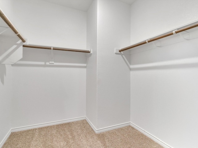 1116 Cobalt Dr, Celina, TX 75009 - spacious closet featuring carpet flooring