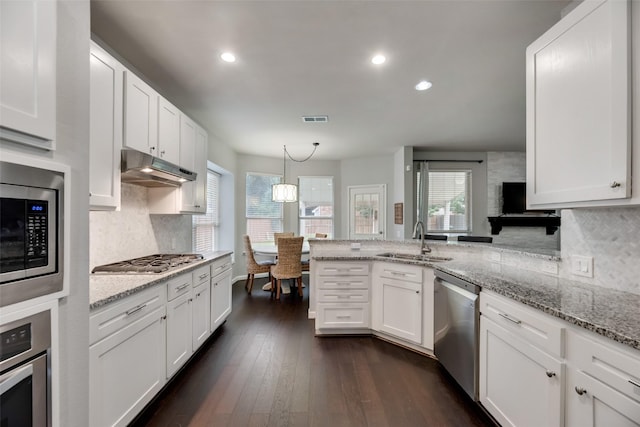kitchen featuring under cabinet range hood, a sink, stainless steel appliances, healthy amount of natural light, and recessed lighting