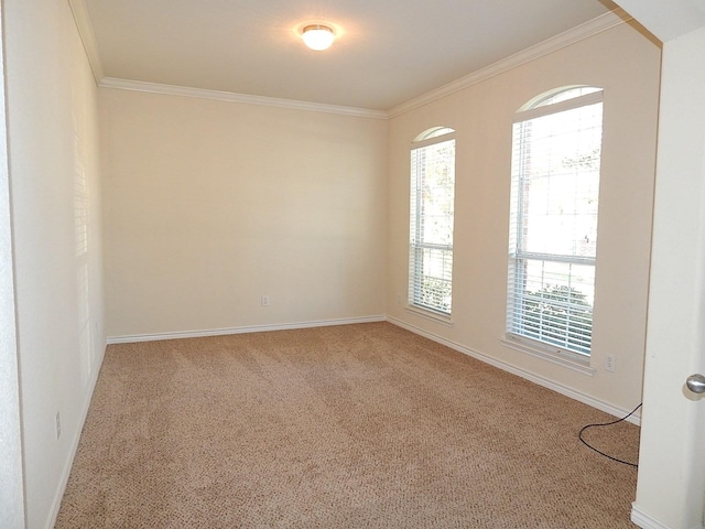 carpeted spare room with healthy amount of natural light, crown molding, and baseboards
