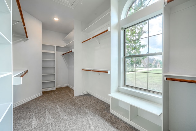12809 Day Break Trl, Burleson, TX 76028 - spacious closet featuring carpet flooring