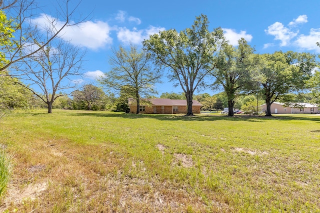 view of grassy yard