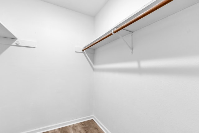 spacious closet featuring wood finished floors