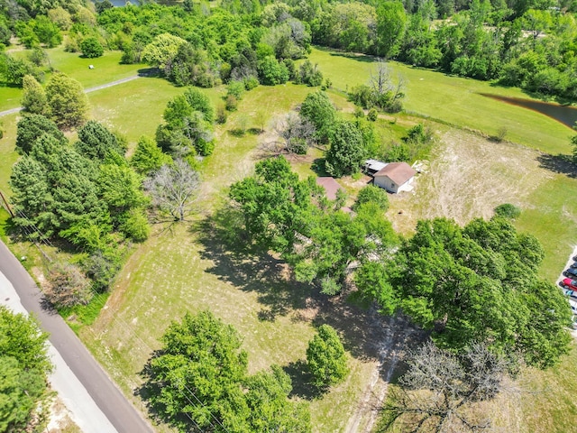 bird's eye view of a tree filled landscape