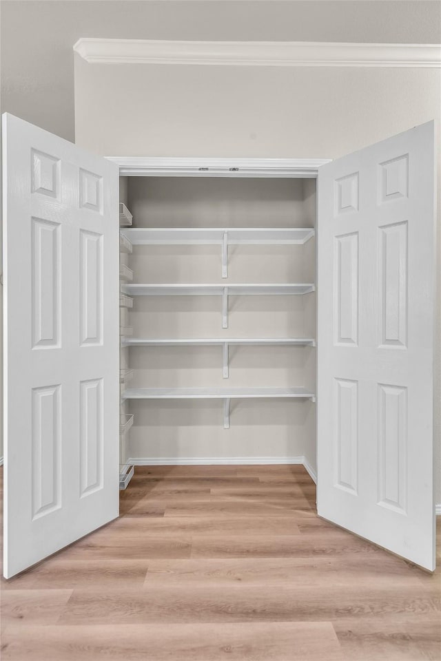 1321 Rivers Creek Ln, Little Elm, TX 75068 - view of closet