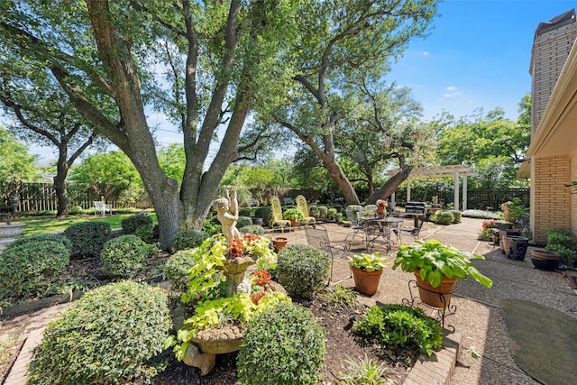 fenced backyard with a patio area and a pergola