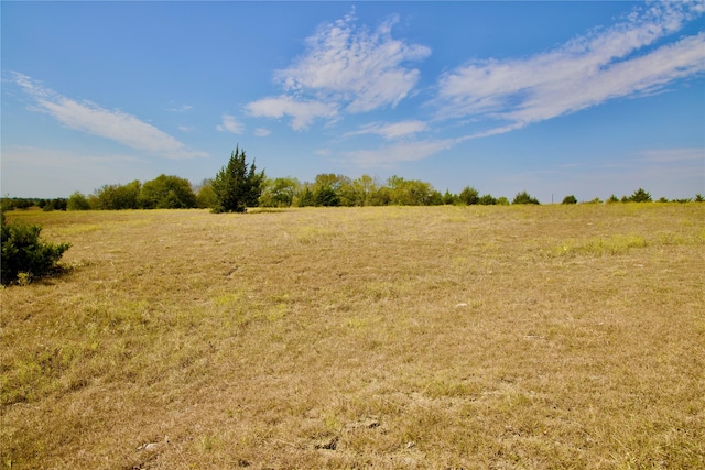 TRACT3 County Road 2935, Dodd City, TX 75438