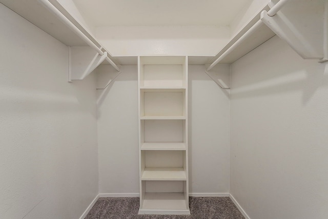 1600 Lagoona Ln, Edgecliff Village, TX 76134 - spacious closet with carpet