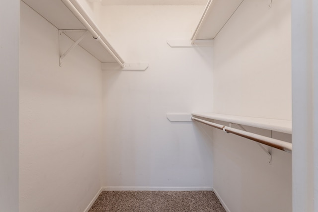 spacious closet with carpet