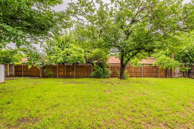 view of yard