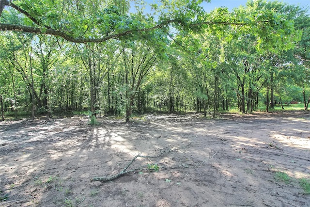 14590 Coffee Ln, Scurry, TX 75158 - view of tree filled area